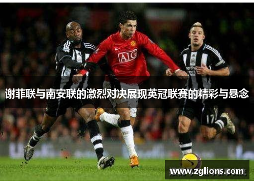 谢菲联与南安联的激烈对决展现英冠联赛的精彩与悬念