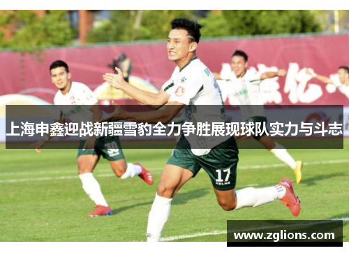 上海申鑫迎战新疆雪豹全力争胜展现球队实力与斗志